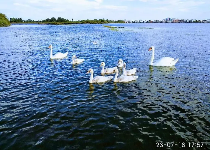 Mandracchio アパート グラード