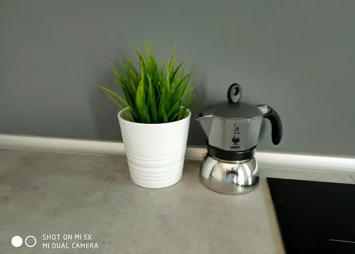 Mandracchio Apartment *